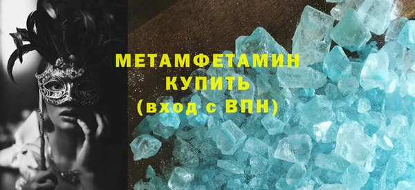 сатива Новодвинск