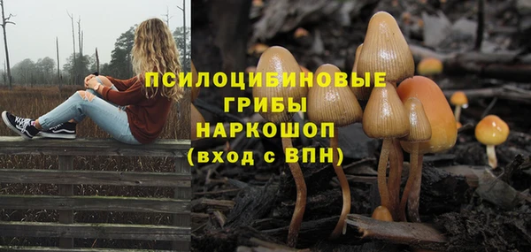 ECSTASY Абдулино