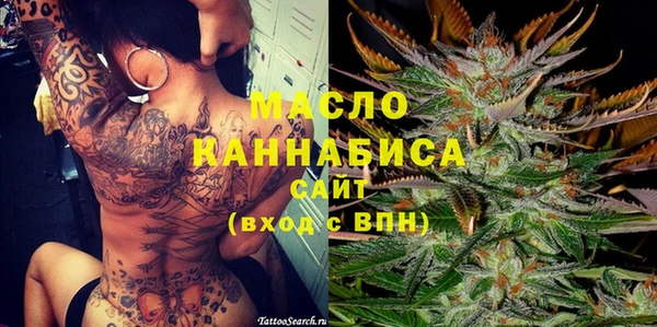 сатива Новодвинск