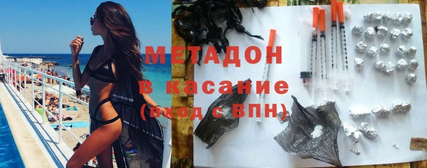 сатива Новодвинск