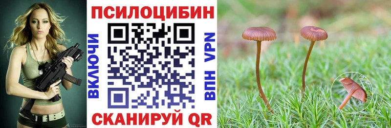 Галлюциногенные грибы Psilocybine cubensis  ссылка на мегу рабочий сайт  Сусуман  даркнет сайт 